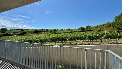 Aussichtslage Top 8: Weingartenblick - 3 Zimmer Eigentumswohnung mit Terrasse