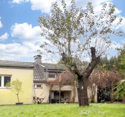 Uriges kleines Haus mit riesigem Grundstück ++ Saniert/ Solar/ Kamin