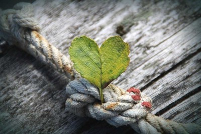 Ein Ort voller Liebe - Charmantes Fertighaus, das Ihr Herz höher schlagen lässt