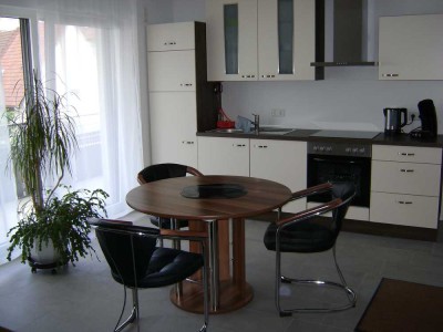 Neuwertige 2 Zimmerwohnung gehobener Innenausstattung mit Balkon und Einbauküche in Hessigheim