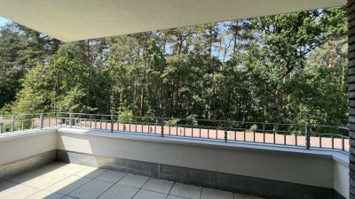 Traumhafter Grünblick .