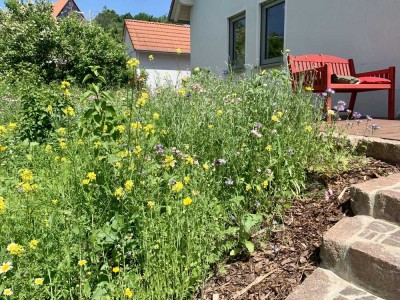 Wohnen im historischen Weinberg nahe Dresden