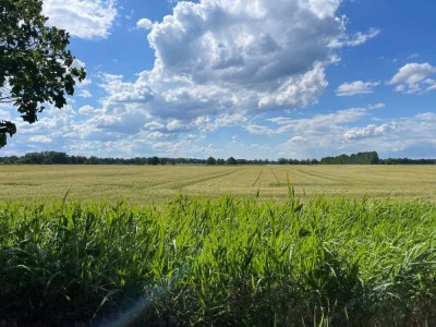 Ein/Zweifamilienhaus am Rande des Spreewalds zum Sanieren!