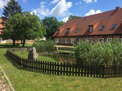 2-Raum-Wohnung mit Einbauküche, ebenerdiger Dusche und Laminatfußböden ...!!!