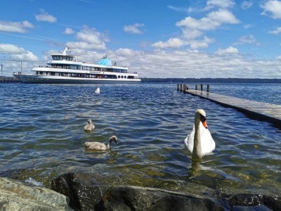 Ⓣop Secret Sale. Familientraum im Gartenparadies. Am Starnberger See.