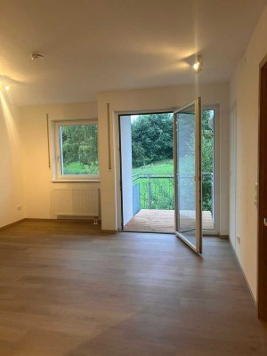 Exklusive 2-Zimmer-Wohnung mit EBK in Wiesenfelden