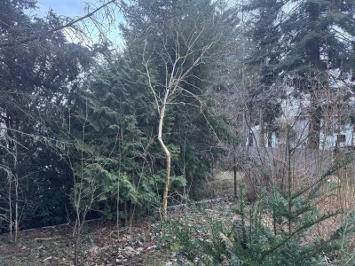 Einfamilienhaus mit Garten, Werkstatt und Garage in Fürstenwalde