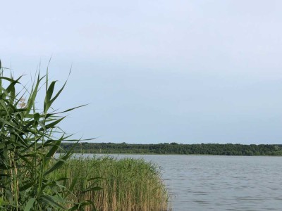 Am See... 4 ZKB mit großem Balkon - mit Fahrstuhl und Energie A