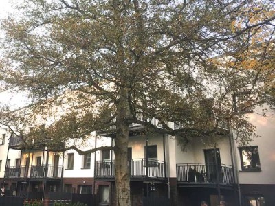 Nur mit WBS Schein: 2-Zimmer-EG-Wohnung mit großer Terrasse