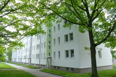 Altendorf! Stressfrei den Sommer auf dem Balkon genießen