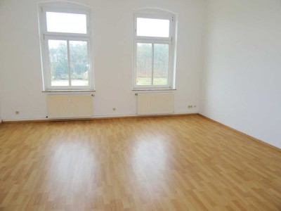 ** mit großer Wohnküche ** 4 Zimmer Wohnung in Werdau zu vermieten!