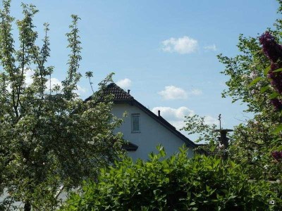 Wohnen in grüner Lage * Wohnhaus mit sonniger Terrasse & Garten* PV-Anlage für autarke Stromverso...