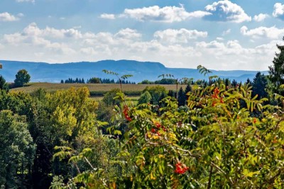 Wunderschönes Einfamilienhaus mit ELW in Aussichtslage von Adelberg