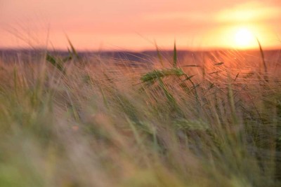 3-Zimmer-Wohnung im Ortsteil Schöneberg
