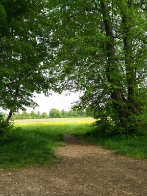 Gemütliche, gut geschnittene Single-Wohnung in naturnaher Lage