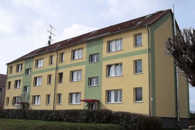 Wir Sanieren eine Wohnung für Sie