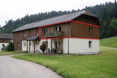 Drei baugleiche, helle geräumige Wohnungen im schön gelegenen Todtmoos/Schwarzwald