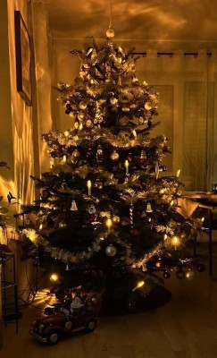 Weihnachten 2026 einziehen und mit Nachbarn feiern - ab 362.900 EUR