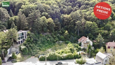 Endlich wieder normale Preise. 3-Zi. Gartenwohnung, wunderbar privat &amp; ruhig gelegen. | amBergblick19 | Top 2