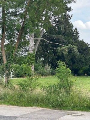 Ansprechende 4-Zimmer-EG-Wohnung mit Garten in Merzenich