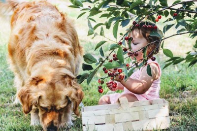 Familienfreundlich und schnell gebaut: Fertighäuser von Bien-Zenker - für eine glückliche Familie!