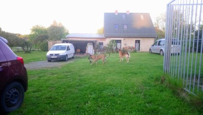 EFH nachhaltige Massivbauweise mit großzügigem Grundstück in grüner Umgebung