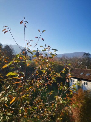 50 % Verkauft*DHH in sonniger Aussichtslage* KFW 40 / QNG förderfähig *