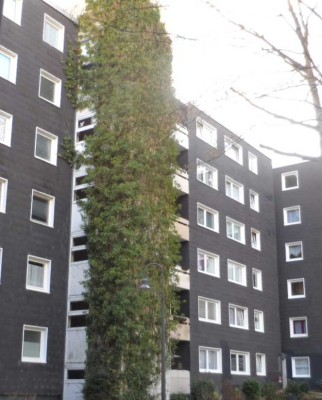 Schöne 3-R-Wohnung in Essen-Überruhr mit WBS ab 01.11.2025 zu vermieten