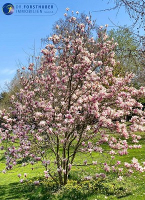 SCHÖNER WOHNEN IN TRUMAU - TRAUMVILLA AUF 2500 m² IN TOPRUHELAGE MIT HIGH-TECH-KOMFORT
