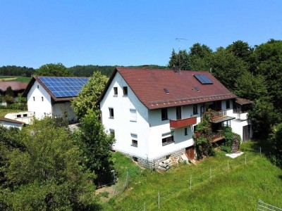 Ehemalige Mühle mit Stall, Scheue und 24.000 m² Grund!