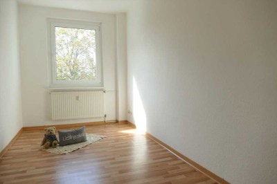 Familienfreundliches Wohnen im Siedlungsviertel- Balkon-Taborer Straße 3 Naumburg (Saale)