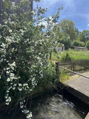 Naturliebhaber aufgepasst - Dreiseithof mit Ausbaupotential, Scheune, Nebengebäude, großer Garten