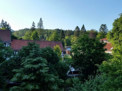 Ansprechende und gepflegte 2,5-Zimmer-Dachgeschosswohnung mit Balkon in Bad Sachsa
