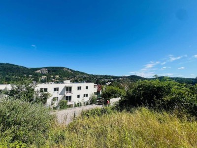 ++ Ruhig leben, grün genießen ++ CHARMANTE Zwei-Zimmer-Gartenwohnung