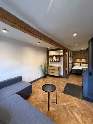möblierte 1-Zimmer-Wohnung - ideal für Berufstätige & Expats - sofort bezugsfrei!
