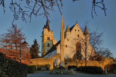 Geschmackvolle, gepflegte 2-Zimmer-Wohnung mit Balkon und Einbauküche in Ingelheim am Rhein