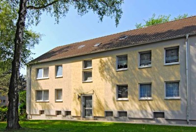 Wohnen nahe der Halde Hoheward, 3-Raum-Wohnung mit Wohnberechtigungsschein