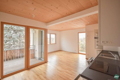 Wunderschöne 3-Zimmer Wohnung in Stammersdorf