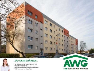 Geräumige 2-Raum-Wohnung mit Waldblick