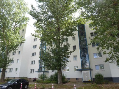 Appartement für die kleine Familie - mit Aufzug und Balkon!