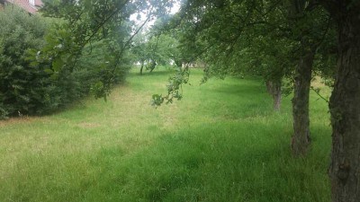 Ein eigenes Haus ist noch immer die beste Altersvorsoge!