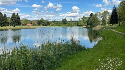 WOHNEN mit Genuss! Kleine Balkonwohnung mit Schlossbergblick nur 5 min. vom Badesee gelegen! Wildon, das Tor zur Südsteiermark!