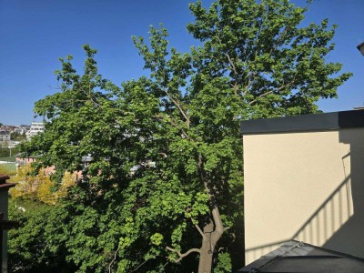 ++ Jugendstil-Juwel im Wiener Altbau + 4-Neubau Wohnungen und 3 Altbauwohnungen + U4 Unter Sankt Veit +