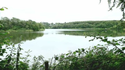 Helle Soutarrainwohnung für 1 Person in Velbert