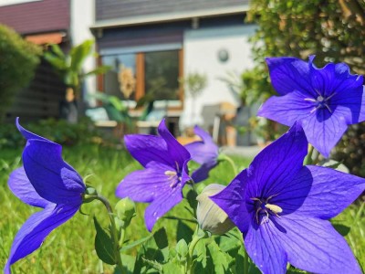 Ⓣ Kleines Haus. Wohnen wie im Neubau. Familie & Freizeitangebot. Frühlingssonne & Garten.