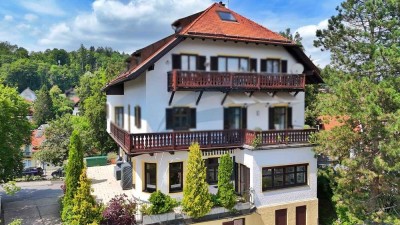 Imposante Jugendstil Terrassenwohnung mit Bergblick