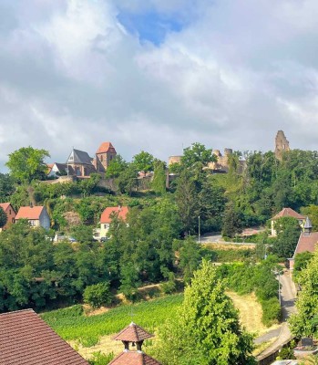 Über den Dächern der Pfalz! Festpreis!