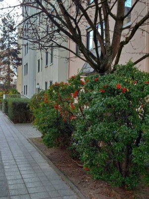 Wunderschöne, ruhige Wohnung