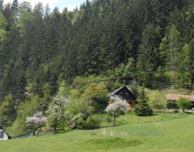 Holzhaus in absoluter Ruhelage mit eigenem Wald, Quellen und Wiesen-/ Nutzflächen - Privatverkauf