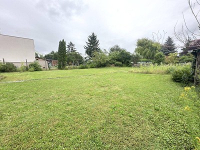 Viel Platz - Viele Möglichkeiten! - POYSDORF - Das Zentrum gleich ums Eck!
